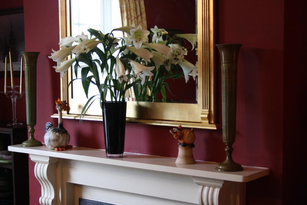 Cheriton House Bed and Breakfast Winfrith Newburgh Esterno foto