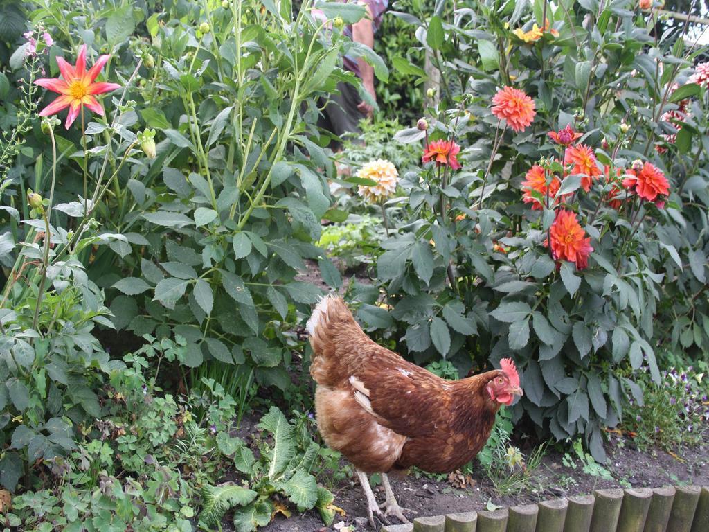 Cheriton House Bed and Breakfast Winfrith Newburgh Esterno foto